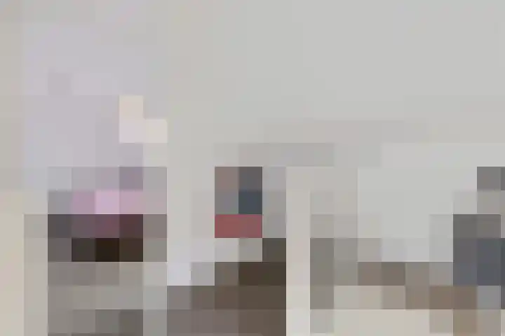 Baggelaar 3 Echtenerbrug thumbnail 35