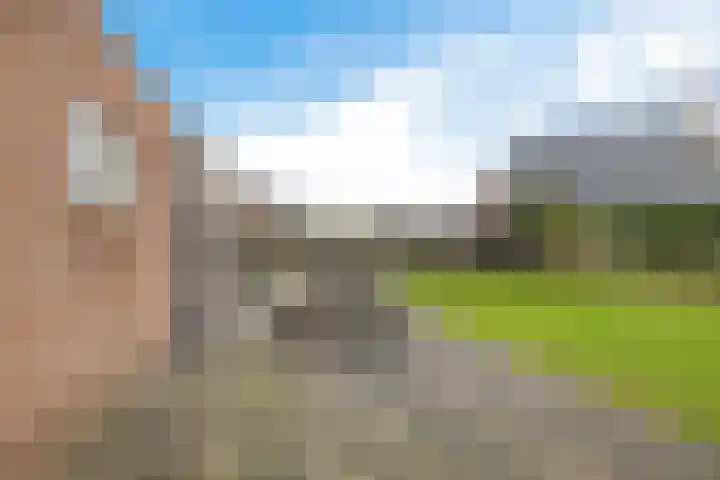 Baggelaar 3 Echtenerbrug thumbnail 40