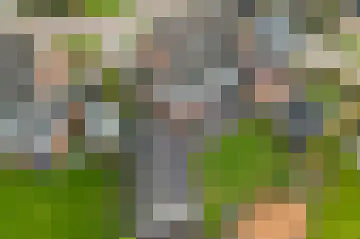 Baggelaar 3 Echtenerbrug thumbnail 44