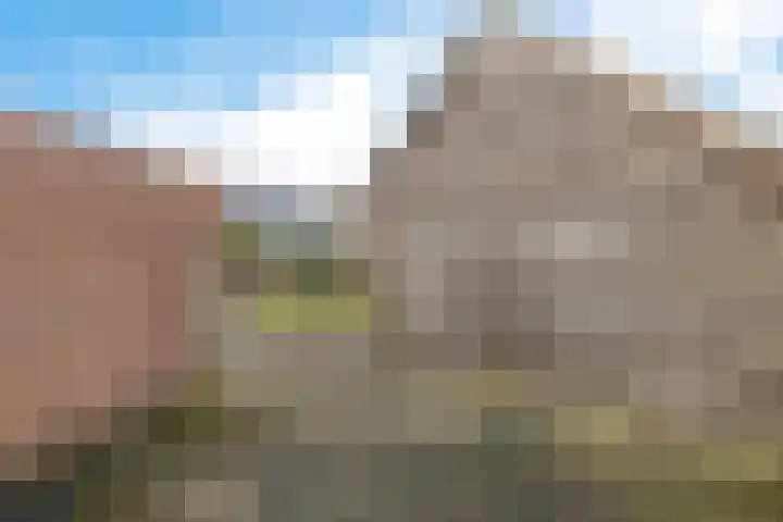 Baggelaar 3 Echtenerbrug thumbnail 7