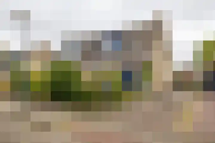 Baggelaar 7 in Peize