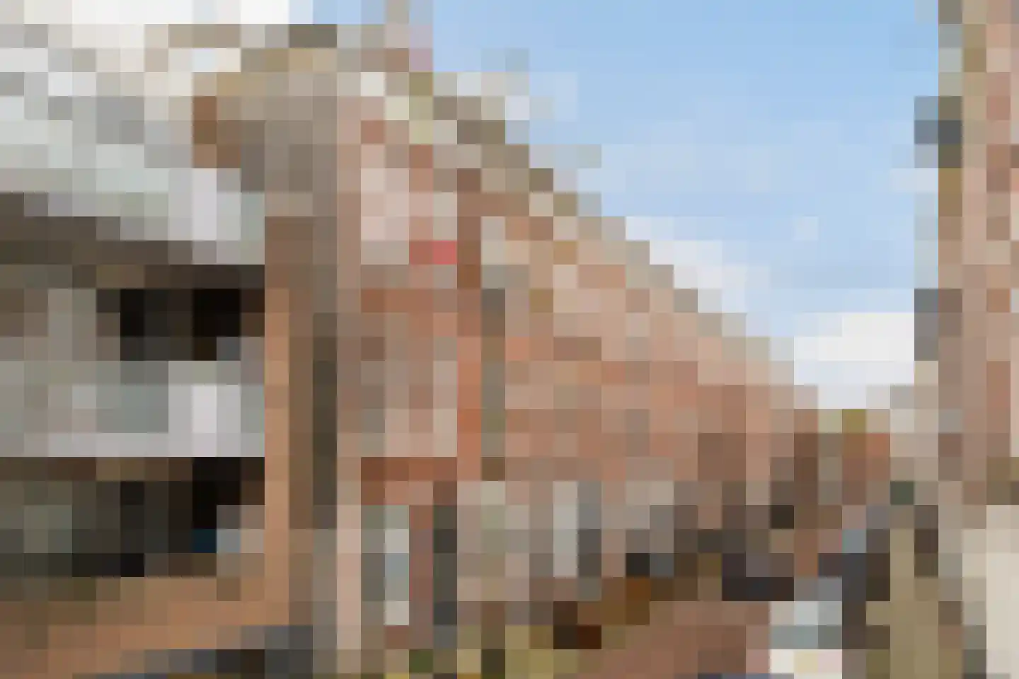 Bajonetstraat 170 Rotterdam thumbnail 7