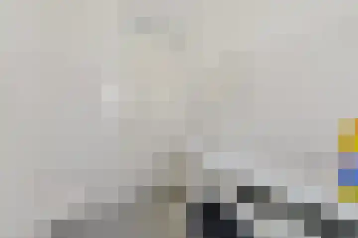 Bajonetstraat 60 Rotterdam thumbnail 32