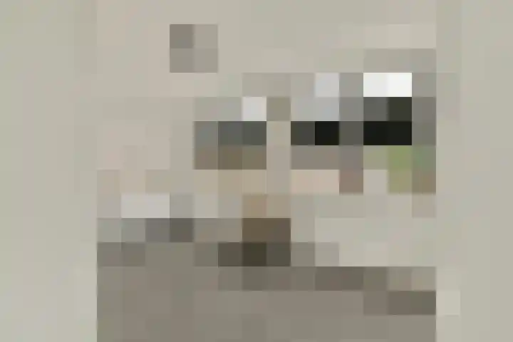 Bakelbos 7 Culemborg thumbnail 15