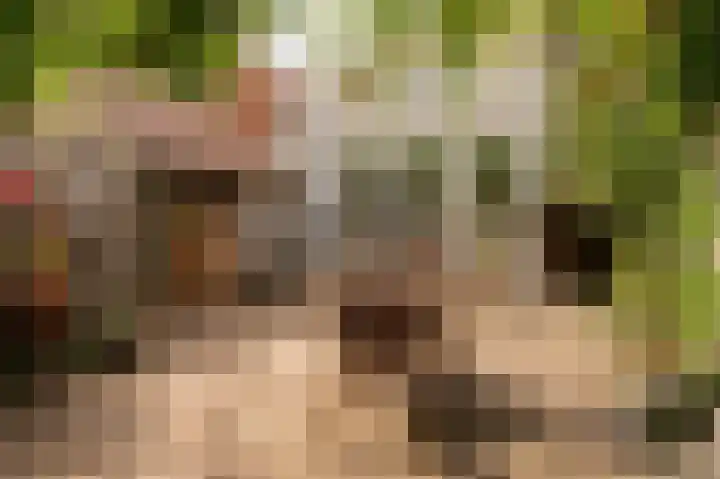 Bakelbos 7 Culemborg thumbnail 19