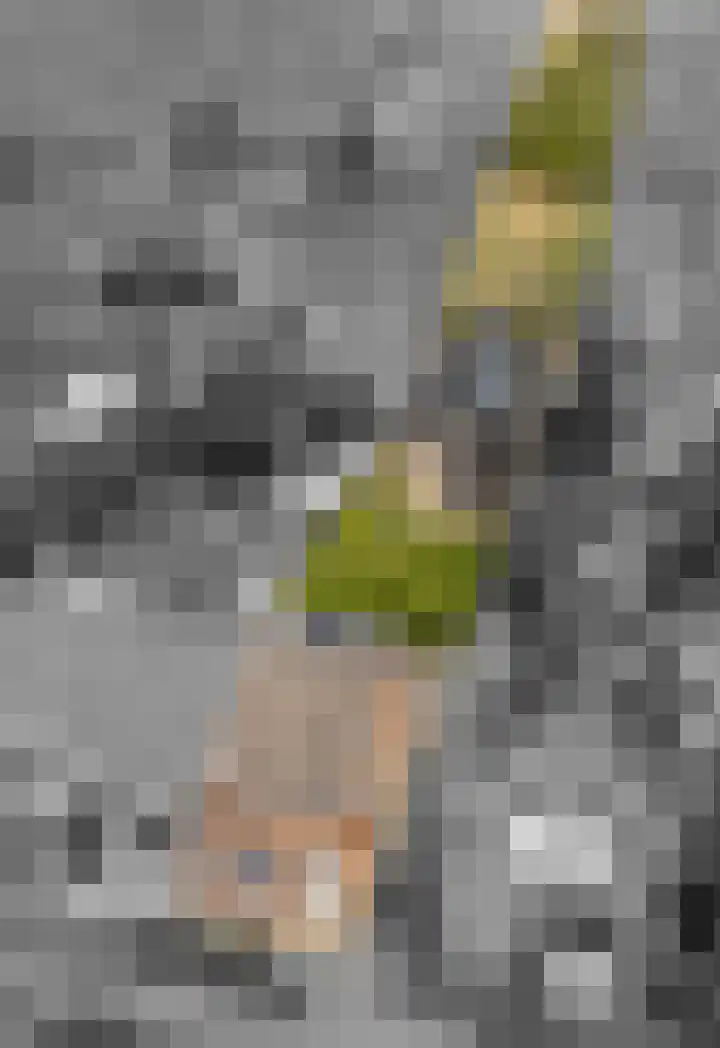 Bakelbos 7 Culemborg foto 2