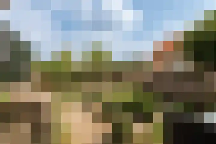Bakelbos 7 Culemborg thumbnail 23