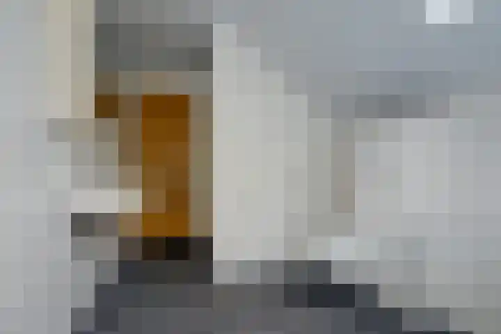 Bakelbos 7 Culemborg thumbnail 30