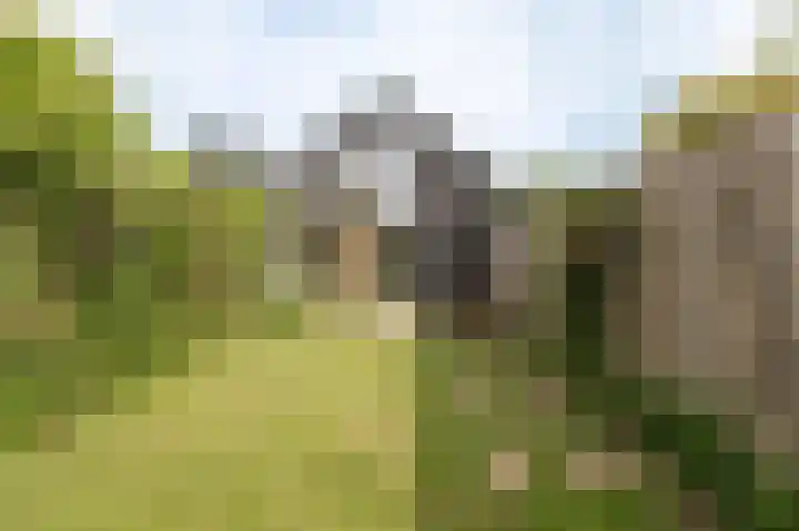 Bakelbos 7 Culemborg thumbnail 4