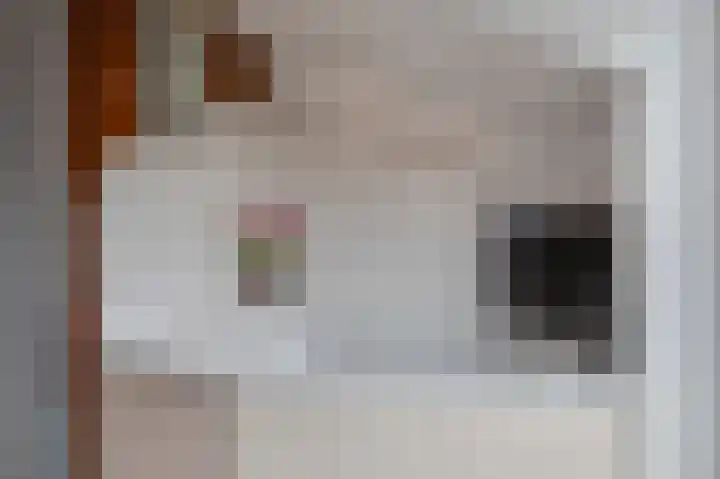 Bakelbos 7 Culemborg thumbnail 43