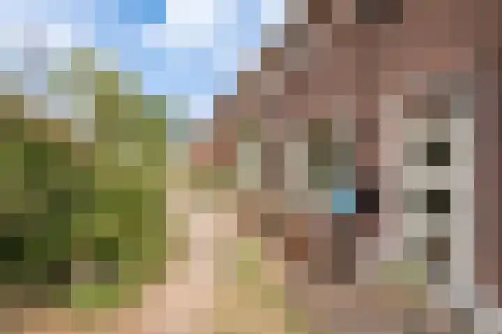 Bakelbos 7 Culemborg thumbnail 48