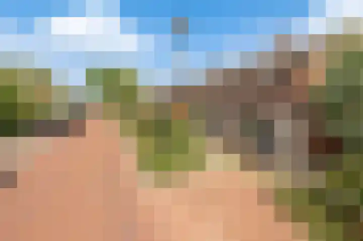 Bakelbos 7 Culemborg thumbnail 51