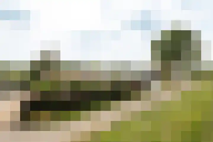 Bakelbos 7 Culemborg thumbnail 52