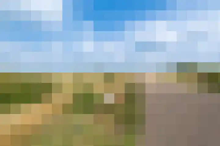 Bakelbos 7 Culemborg thumbnail 54