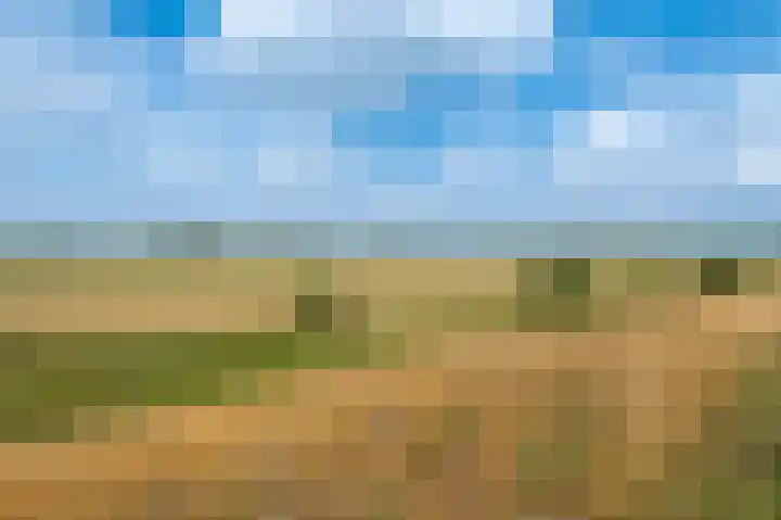 Bakelbos 7 Culemborg thumbnail 56