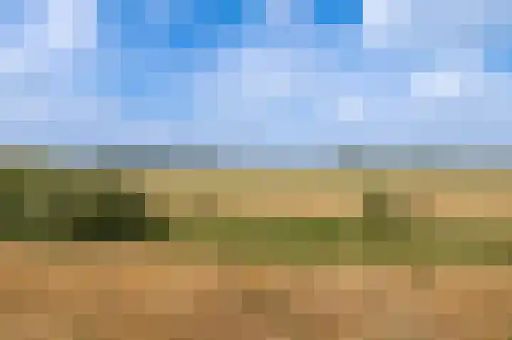 Bakelbos 7 Culemborg thumbnail 57