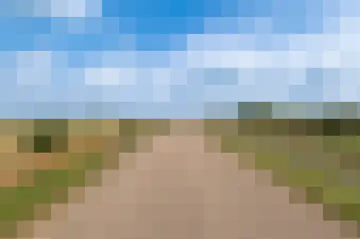 Bakelbos 7 Culemborg thumbnail 58