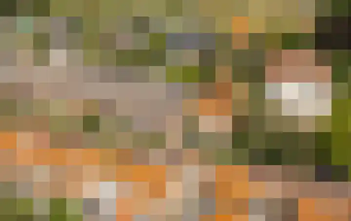 Bakelbos 7 Culemborg thumbnail 61