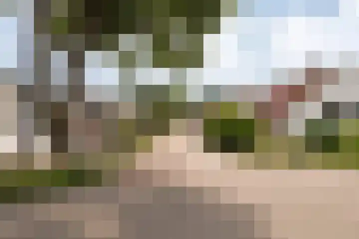 Bakelbos 7 Culemborg thumbnail 7