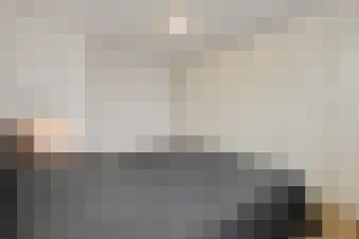 Bakelsedijk 190 Helmond thumbnail 31