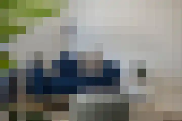 Bakelsedijk 6 A Helmond thumbnail 14