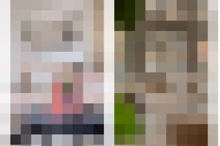 Bakelsedijk 6 N Helmond thumbnail 17