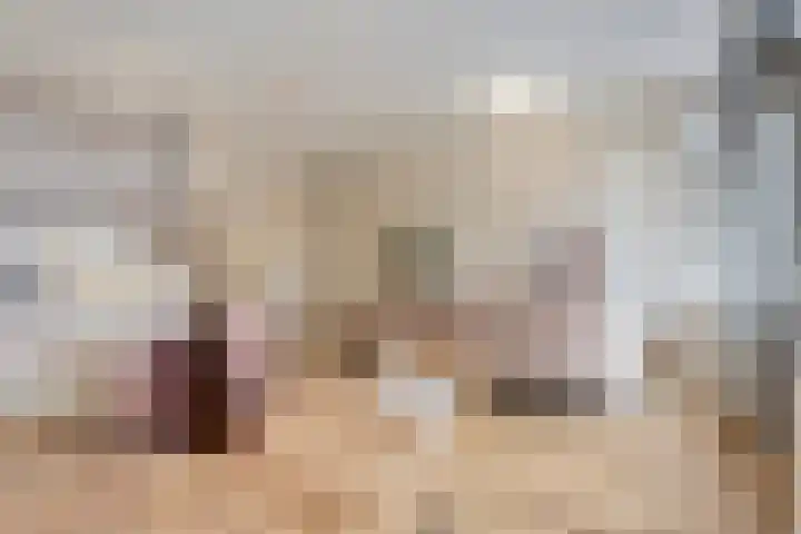 Bakelsedijk 6 N Helmond thumbnail 5