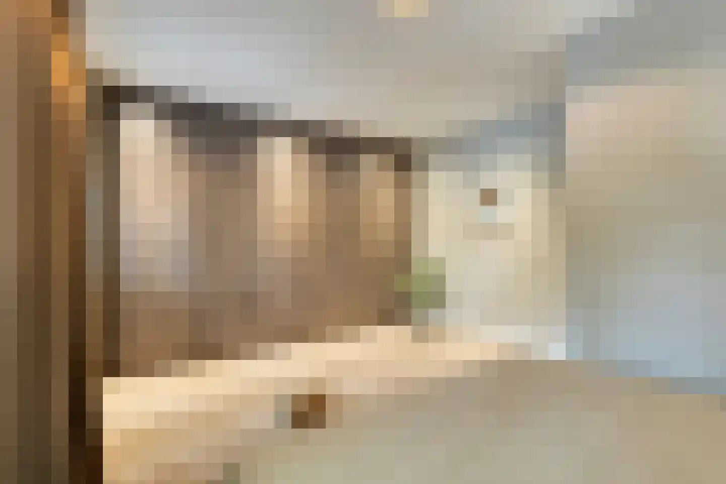 Bakelsedijk 8 Helmond thumbnail 34