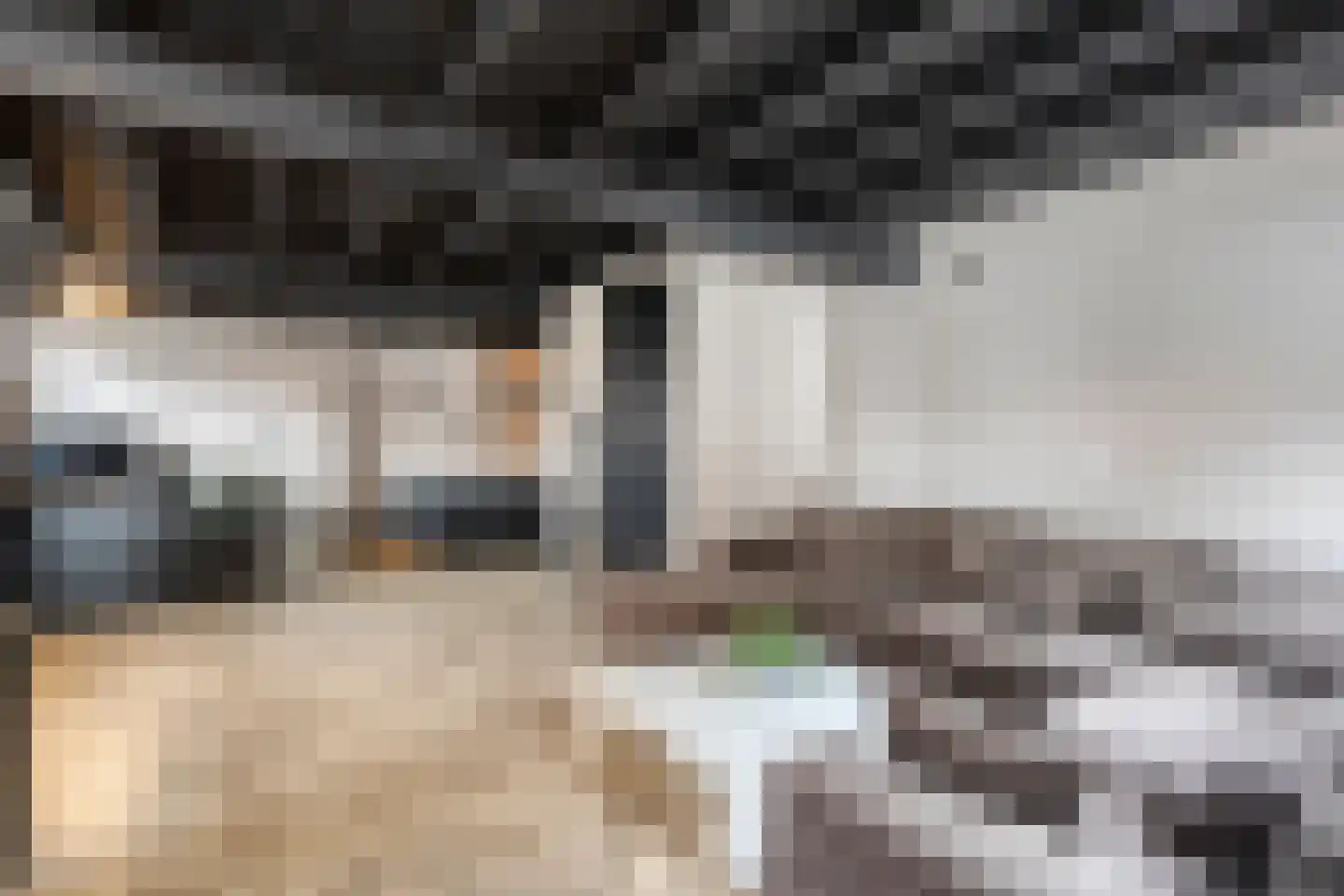 Bakelsedijk 8 Helmond thumbnail 48