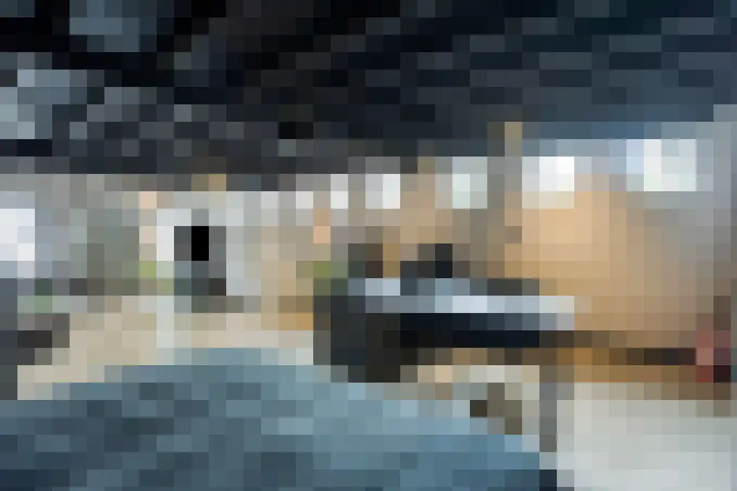 Bakelsedijk 8 Helmond thumbnail 51