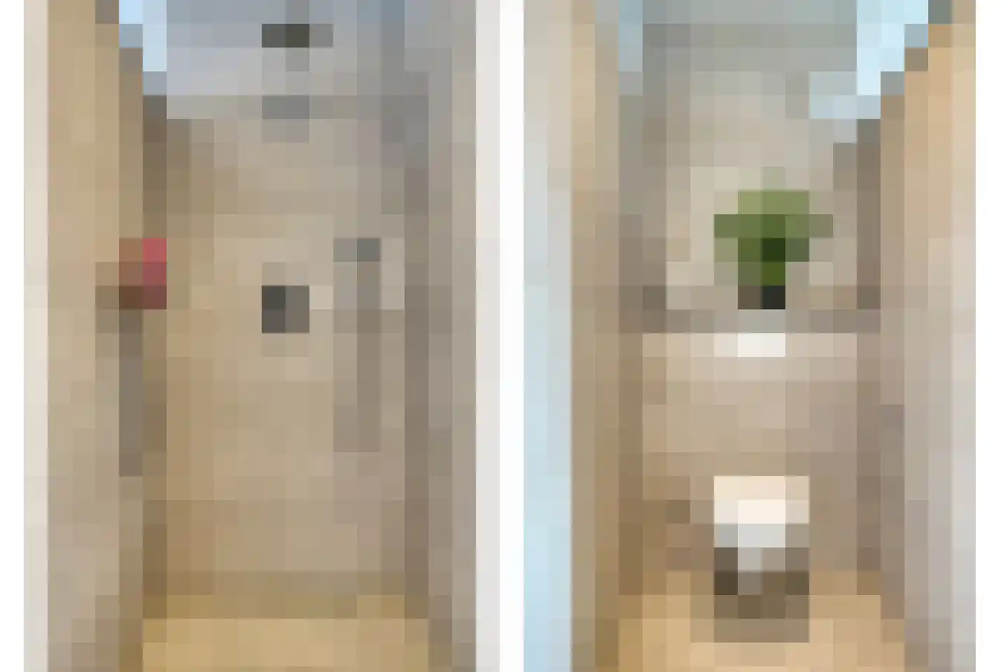 Bakelsedijk 8 Helmond thumbnail 63