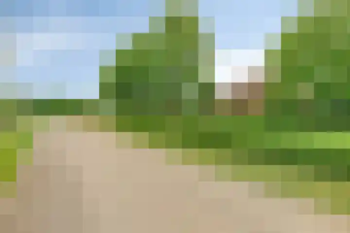 Bakelseweg 30 De Mortel thumbnail 17
