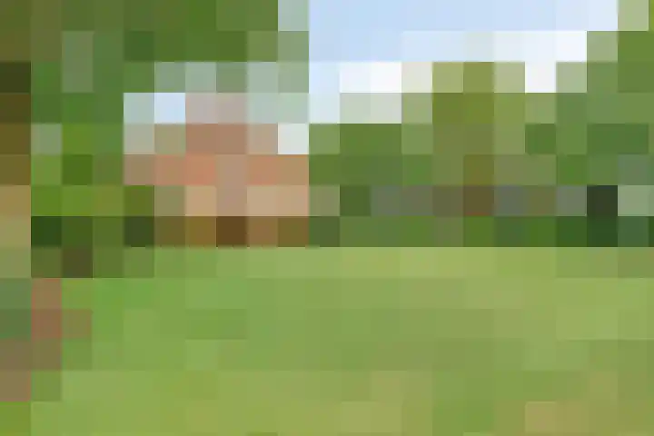 Bakelseweg 30 De Mortel thumbnail 26
