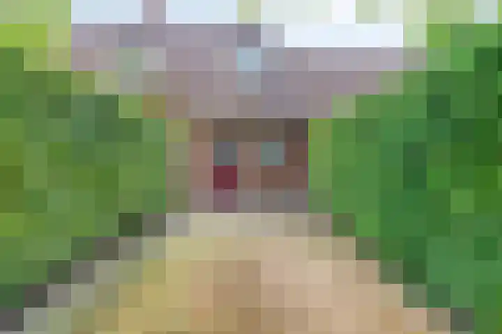 Bakelseweg 30 De Mortel thumbnail 27