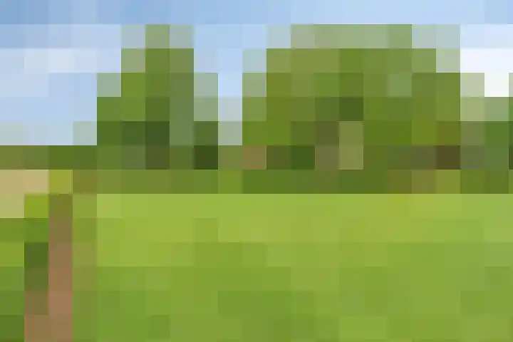 Bakelseweg 30 De Mortel thumbnail 28