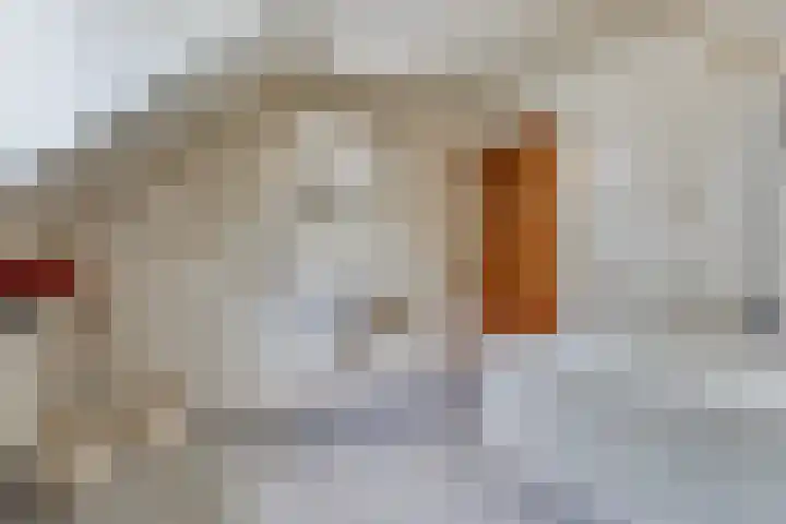 Bakelseweg 30 De Mortel thumbnail 44