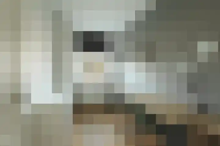 Bakemaveld 14 Barendrecht thumbnail 23