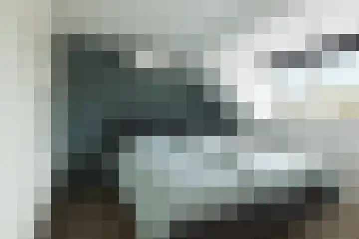 Bakemaveld 14 Barendrecht thumbnail 26