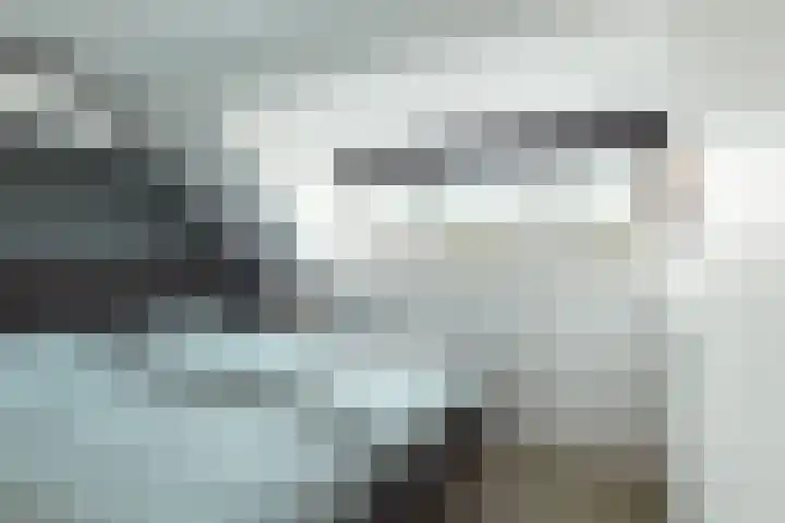Bakemaveld 14 Barendrecht thumbnail 27