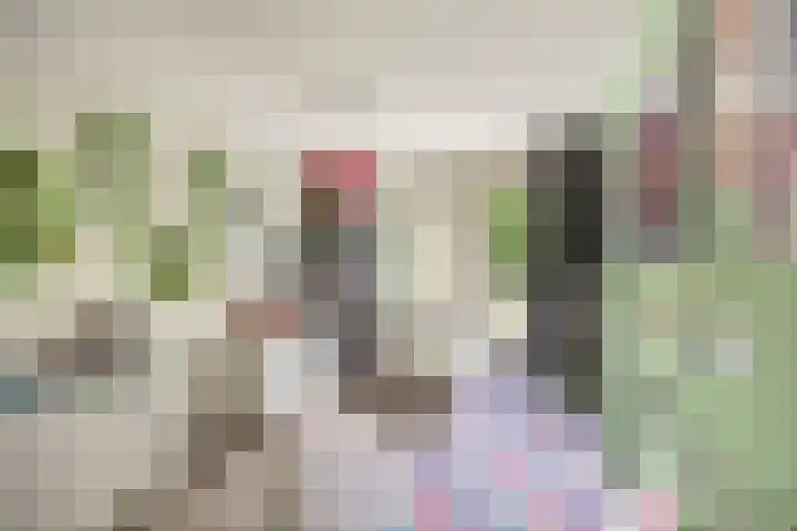 Baken 156 Groningen thumbnail 19