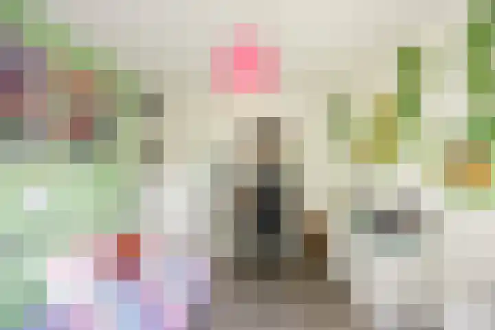 Baken 156 Groningen thumbnail 20