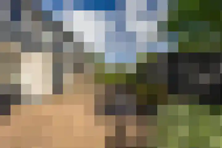 Baken 156 Groningen thumbnail 31