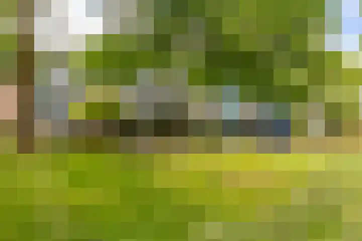 Baken 156 Groningen thumbnail 32
