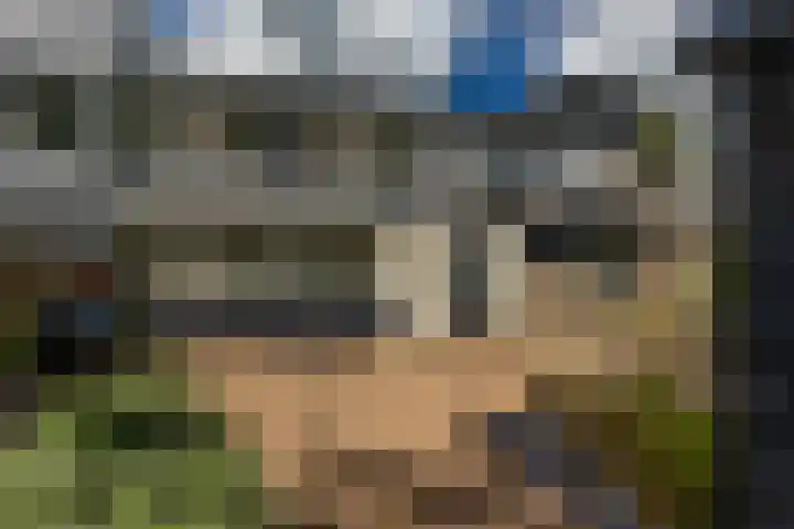 Baken 156 Groningen thumbnail 37