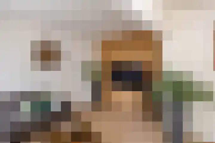 Baken 156 Groningen thumbnail 9