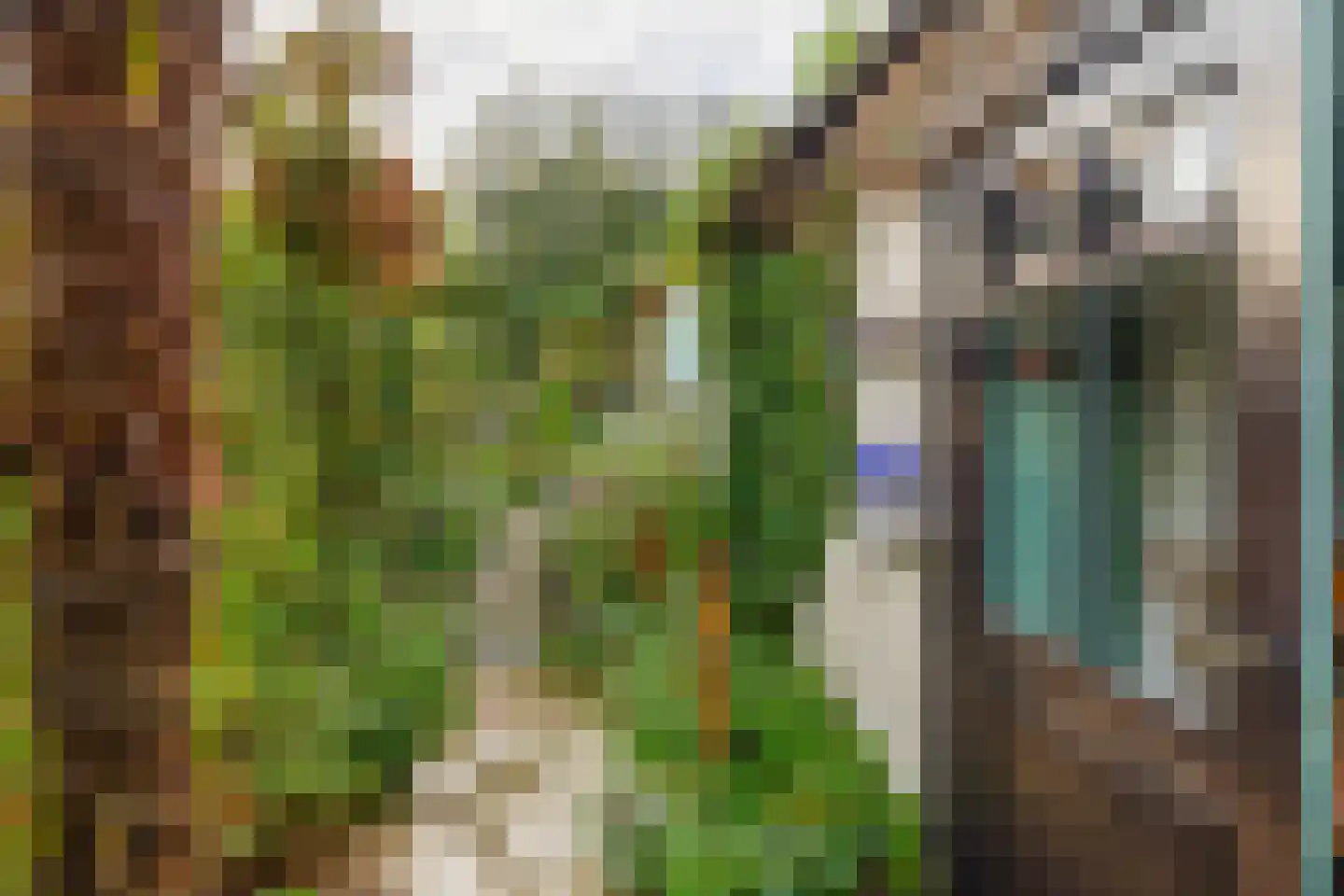 Bakenesserstraat 22 RD in Haarlem