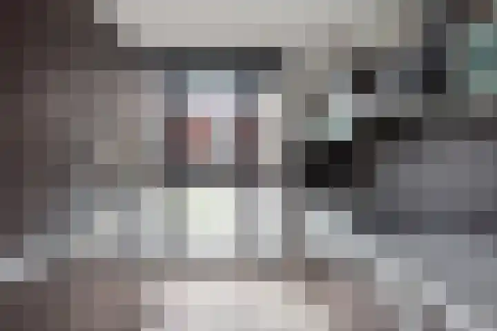 Bakerwaard 7 Arnhem thumbnail 13