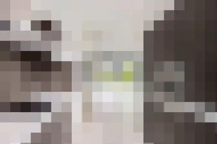 Bakerwaard 7 Arnhem thumbnail 17