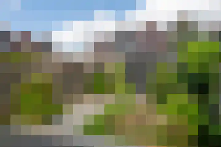 Bakerwaard 7 Arnhem thumbnail 41