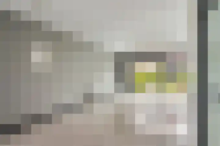 Bakerwaard 7 Arnhem thumbnail 6